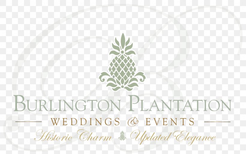 Colonial Williamsburg Burlington Plantation Richmond James River Logo, PNG, 950x594px, Colonial Williamsburg, Accommodation, Brand, Flower, Green Download Free