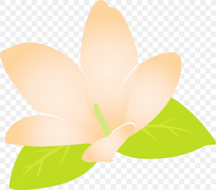 Jasmine Jasmine Flower, PNG, 3000x2645px, Jasmine, Biology, Flower, Green, Jasmine Flower Download Free