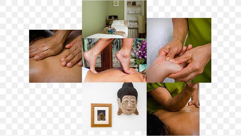 The Thai Massage Centre Massage Parlor Therapy, PNG, 621x462px, Massage, Alternative Health Services, Arm, Chiropractor, Finger Download Free