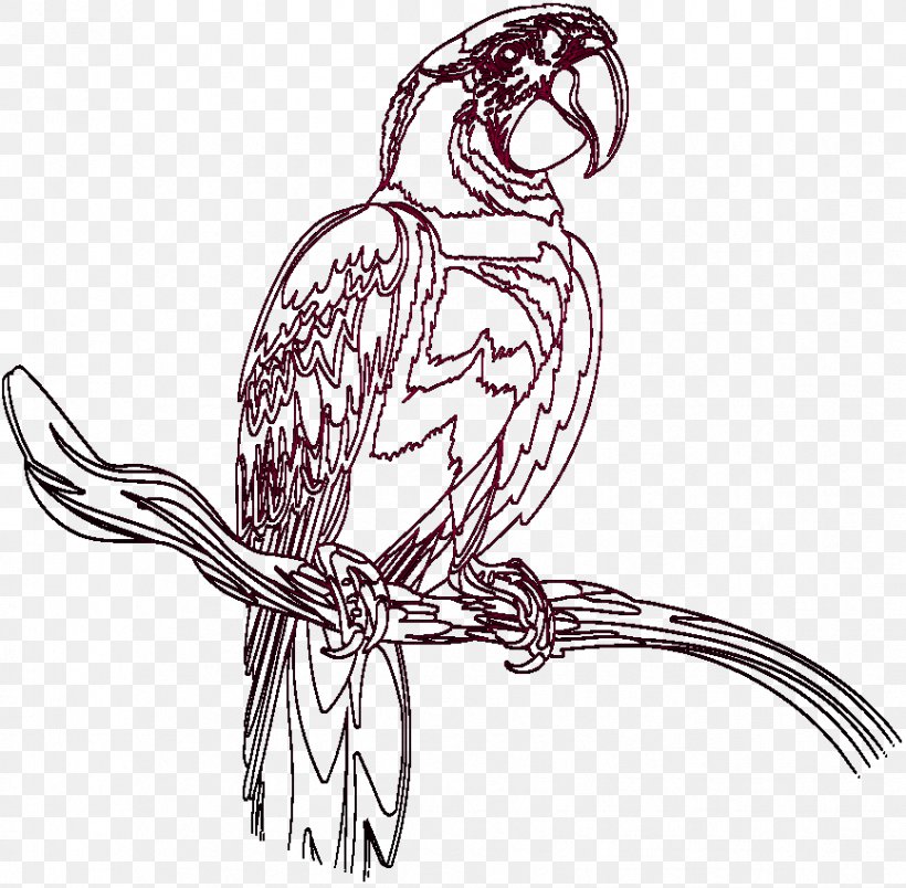 Chicken Parrot Line Art Beak Bird, PNG, 866x850px, Chicken, Arm, Art, Artwork, Beak Download Free