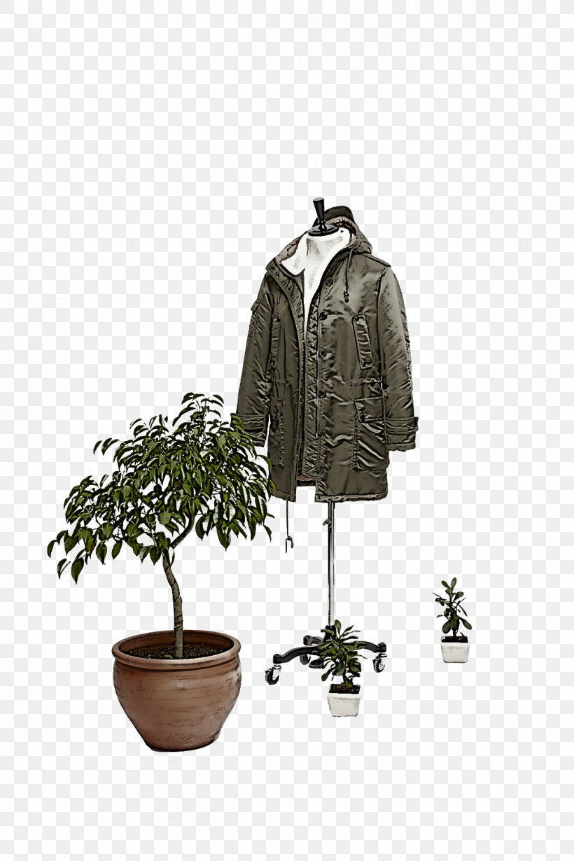 Clothes Hanger Clothing M-tree Tree, PNG, 1200x1800px, Clothes Hanger, Clothing, Mtree, Tree Download Free