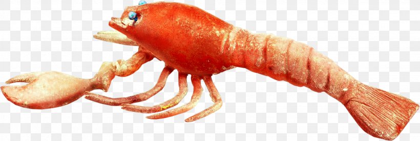 Lobster Seafood Fish, PNG, 2053x690px, Lobster, Animal Source Foods, Decapoda, Finger, Fish Download Free