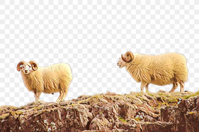 Sheep Fauna Herd Terrestrial Animal Snout, PNG, 960x638px, Sheep, Adaptation, Animal, Cowgoat Family, Fauna Download Free