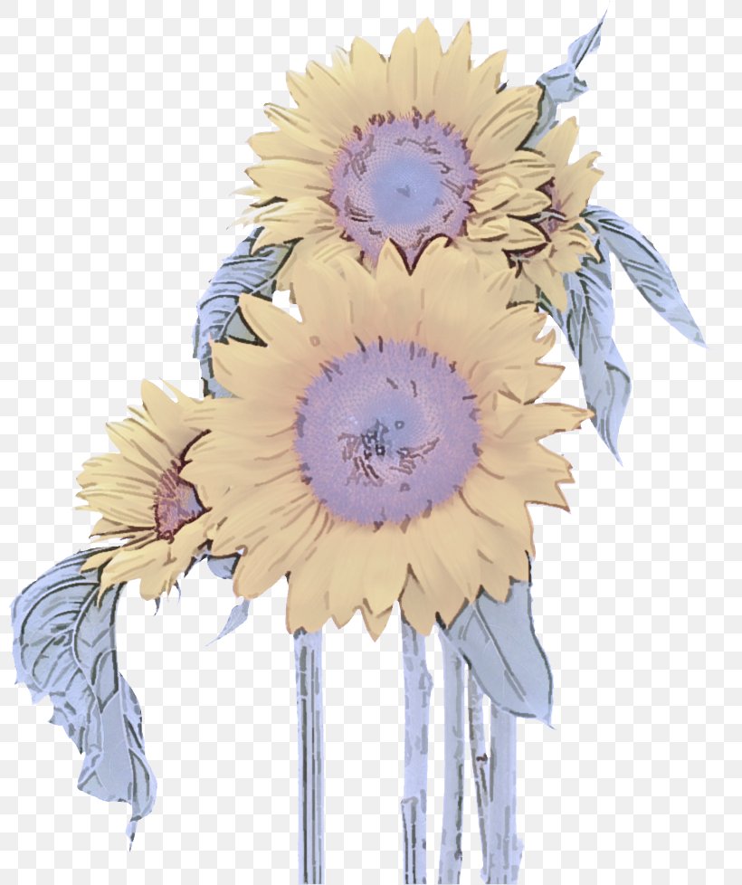 Sunflower, PNG, 800x978px, Cut Flowers, Feather, Flower, Gerbera, Plant Download Free