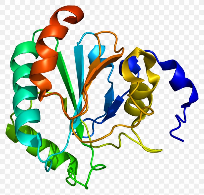 Glutathione Peroxidase GPX4 Enzyme, PNG, 942x904px, Peroxidase, Antioxidant, Artwork, Body Jewelry, Catalysis Download Free