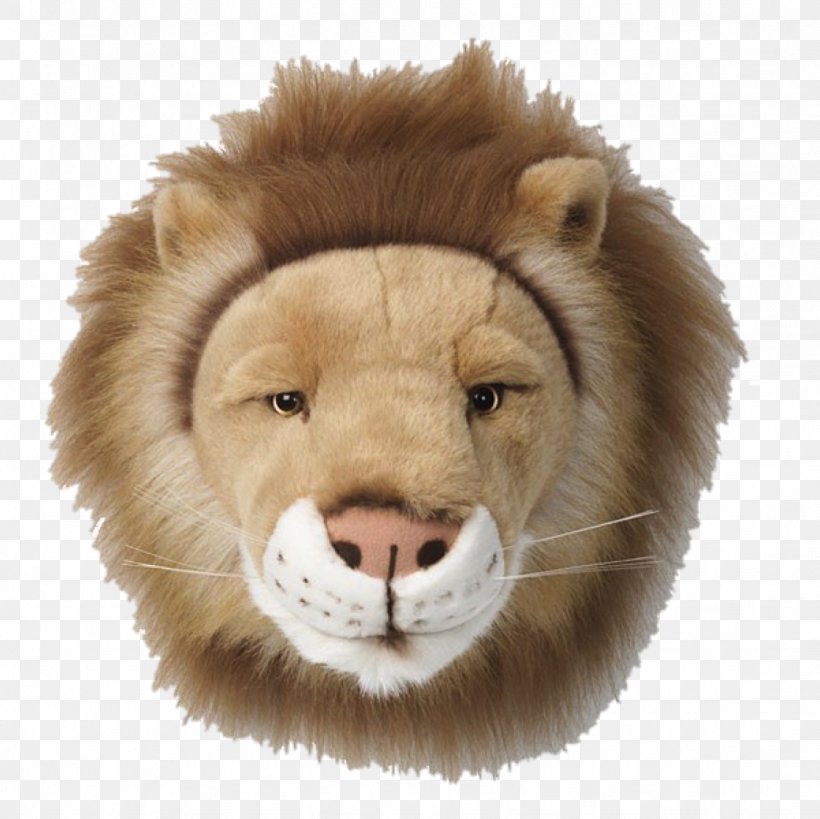 Vhs Management Consultancy Bvba Plush Stuffed Animals & Cuddly Toys Child Lion, PNG, 1126x1125px, Vhs Management Consultancy Bvba, Bedroom, Big Cats, Carnivoran, Cat Like Mammal Download Free