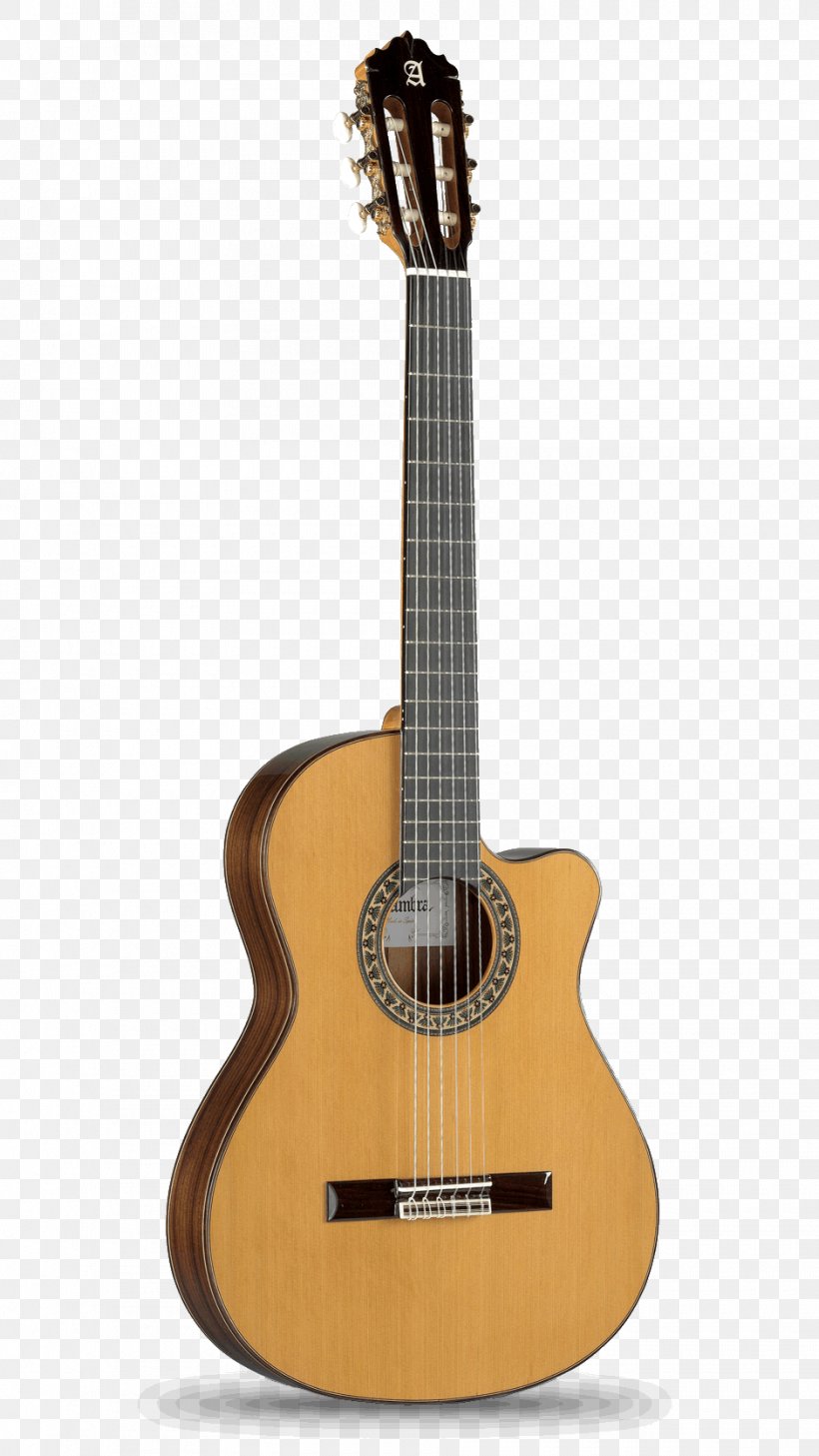 Alhambra Classical Guitar Acoustic Guitar Flamenco Guitar, PNG, 940x1671px, Watercolor, Cartoon, Flower, Frame, Heart Download Free