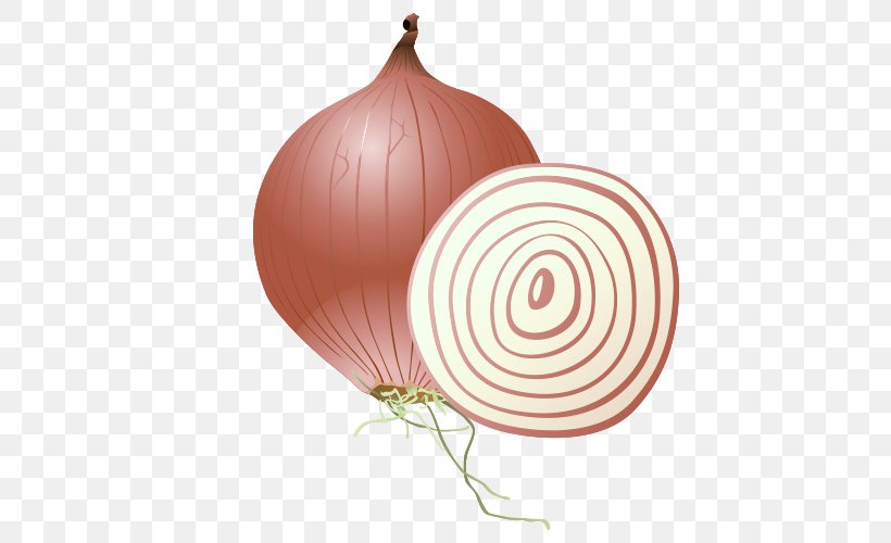 Onion Vegetable, PNG, 500x500px, Onion, Acne, Allium Fistulosum, Cartoon, Food Download Free