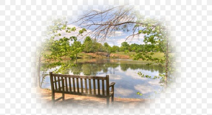 Park Bench Landscape Clip Art, PNG, 600x445px, Park, Bench, Drawing, Istock, Lake Download Free