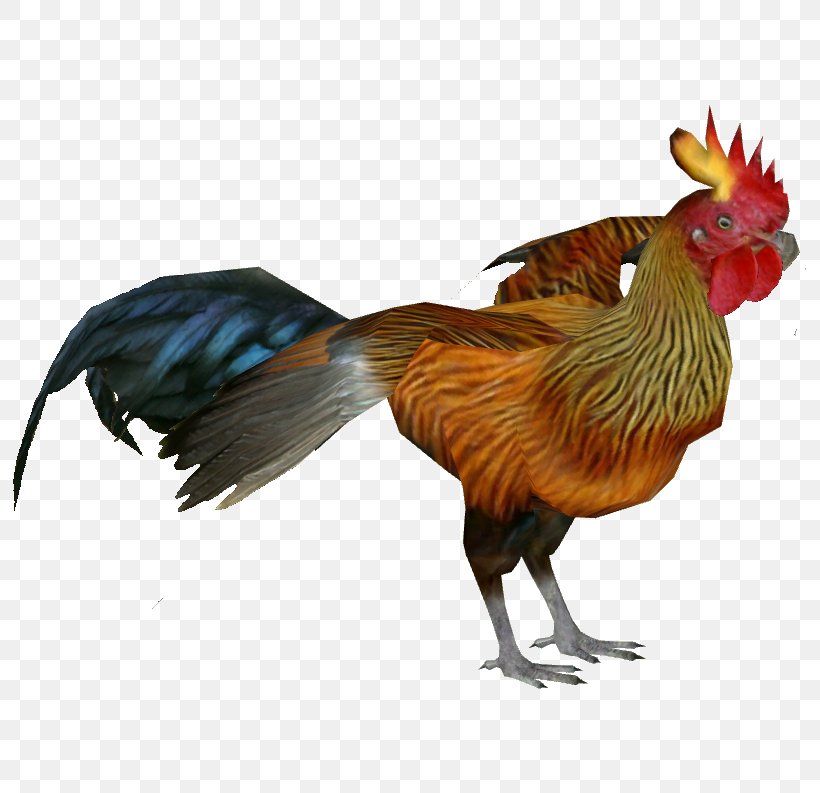 Rooster Sri Lankan Junglefowl Chicken, PNG, 793x793px, Rooster, Beak, Bird, Chicken, Fauna Download Free