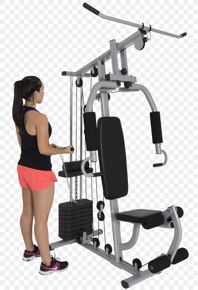 Strength Training Fitness Centre Orbit Exercise Indoor Rower, PNG, 800x1200px, Strength Training, Bench, Bench Press, Elliptical Trainer, Elliptical Trainers Download Free