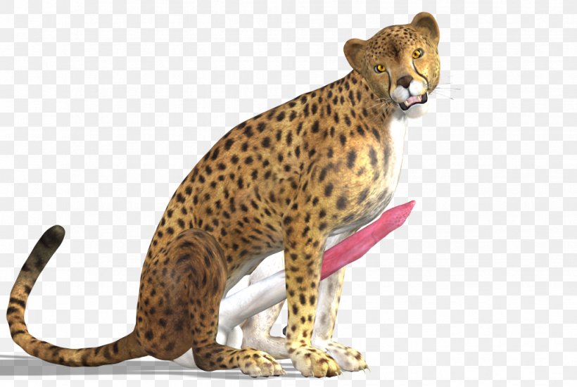 Cheetah Leopard Jaguar, PNG, 1028x690px, Cheetah, Big Cats, Carnivoran, Cat Like Mammal, Directory Download Free