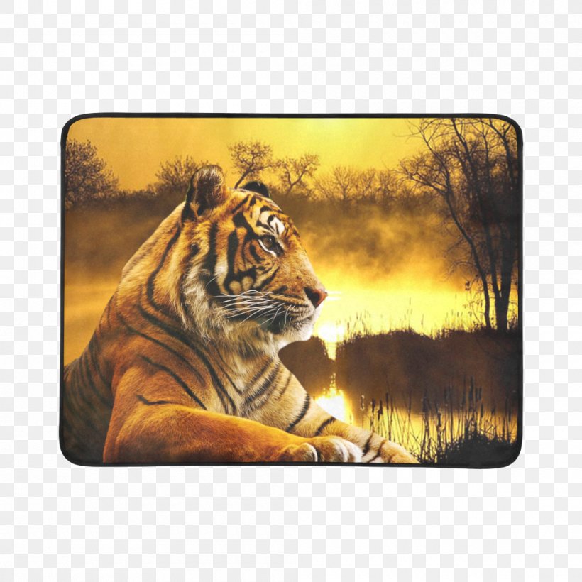 Lion Clemson University Clemson Tigers Football Cat Tiger Wallpapers, PNG, 1000x1000px, Lion, Auburn Tigers, Bengal Tiger, Big Cat, Big Cats Download Free