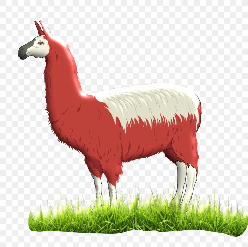 Llama English Animal Song Clip Art, PNG, 1500x1491px, Llama, Animal, Camel Like Mammal, Cloud, Cloudburst Download Free