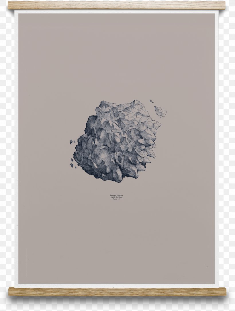 Paper Poster Graphics Drawing Art, PNG, 2772x3671px, Paper, Art, Blue, Color, Conifer Cone Download Free