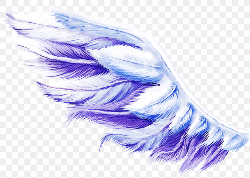 Feather, PNG, 1200x855px, Feather, Fur, Purple, Quill, Violet Download Free