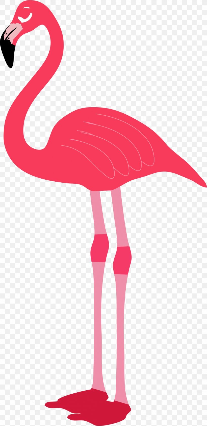 Flamingos Download Computer File, PNG, 1098x2256px, Flamingo, Beak, Bird, Clip Art, Illustration Download Free
