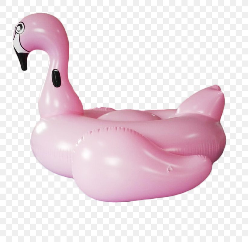 Inflatable Swim Ring Greater Flamingo Water Bird Air Mattresses, PNG, 800x800px, Inflatable, Air Mattresses, Beach, Buoy, Europe Download Free