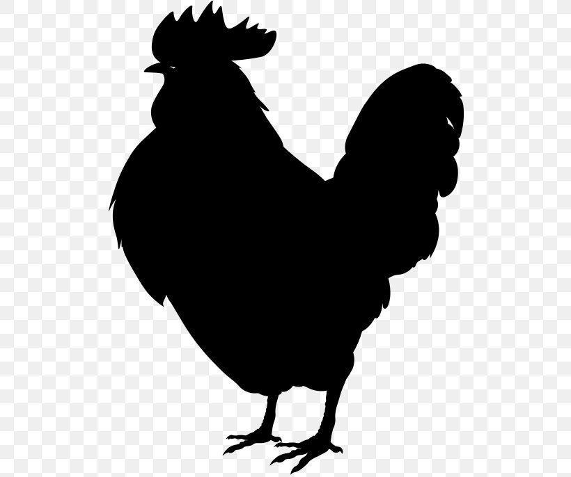 Rooster Leghorn Chicken Plymouth Rock Chicken Phoenix Chicken Rhode Island Red, PNG, 512x686px, Rooster, Beak, Bird, Black And White, Chicken Download Free