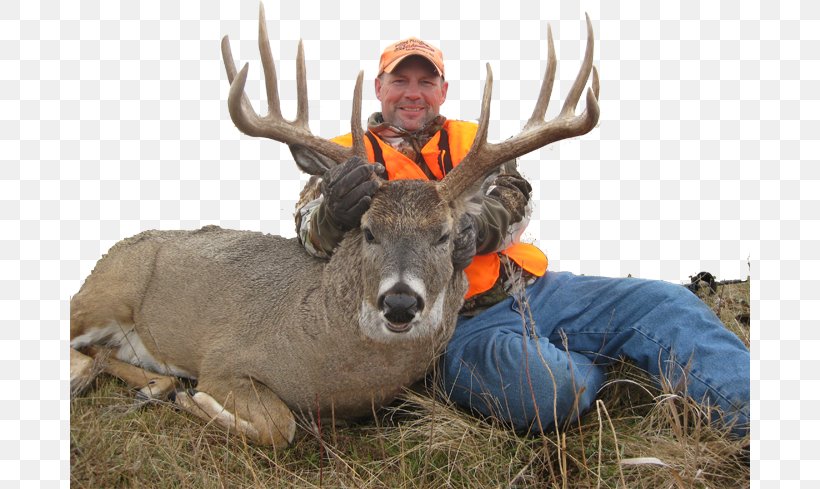 White-tailed Deer Deer Hunting North Dakota, PNG, 680x489px, Whitetailed Deer, Deer, Deer Hunting, Fishing, Game Download Free