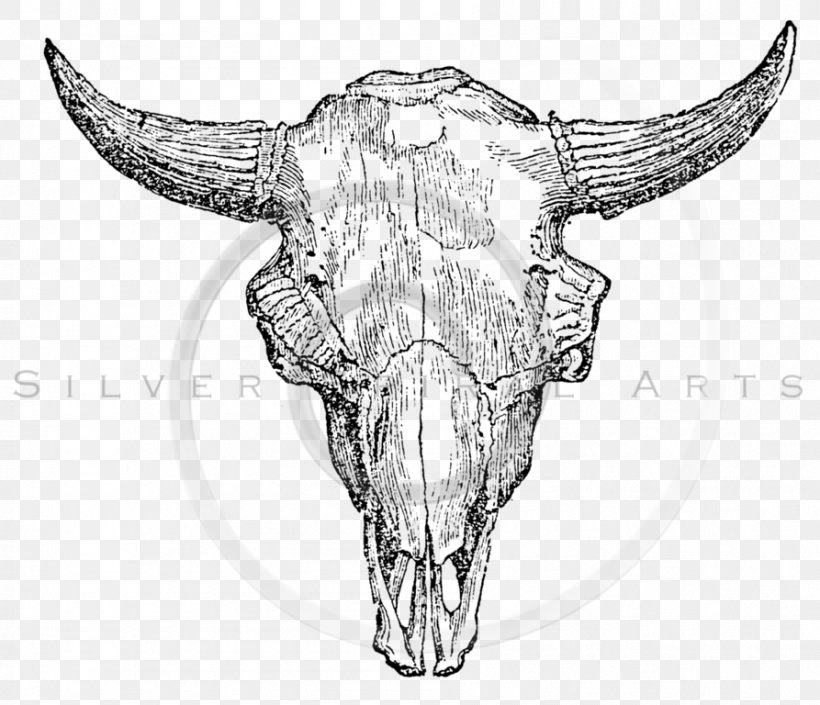 American Bison Illustration European Bison Drawing Zazzle, PNG, 893x768px, American Bison, Bison, Black And White, Bone, Cattle Like Mammal Download Free