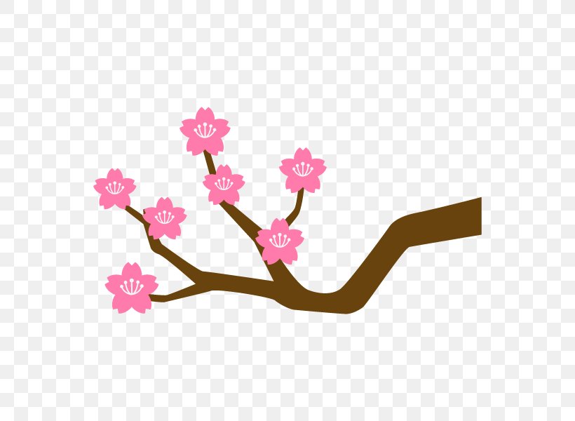 Cherry Blossom Branch Illustration Plants Clip Art, PNG, 600x600px, Cherry Blossom, Blossom, Branch, Cherries, Flower Download Free