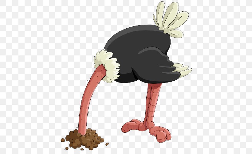 Common Ostrich Royalty-free Clip Art, PNG, 500x500px, Common Ostrich, Beak, Bird, Can Stock Photo, Chicken Download Free