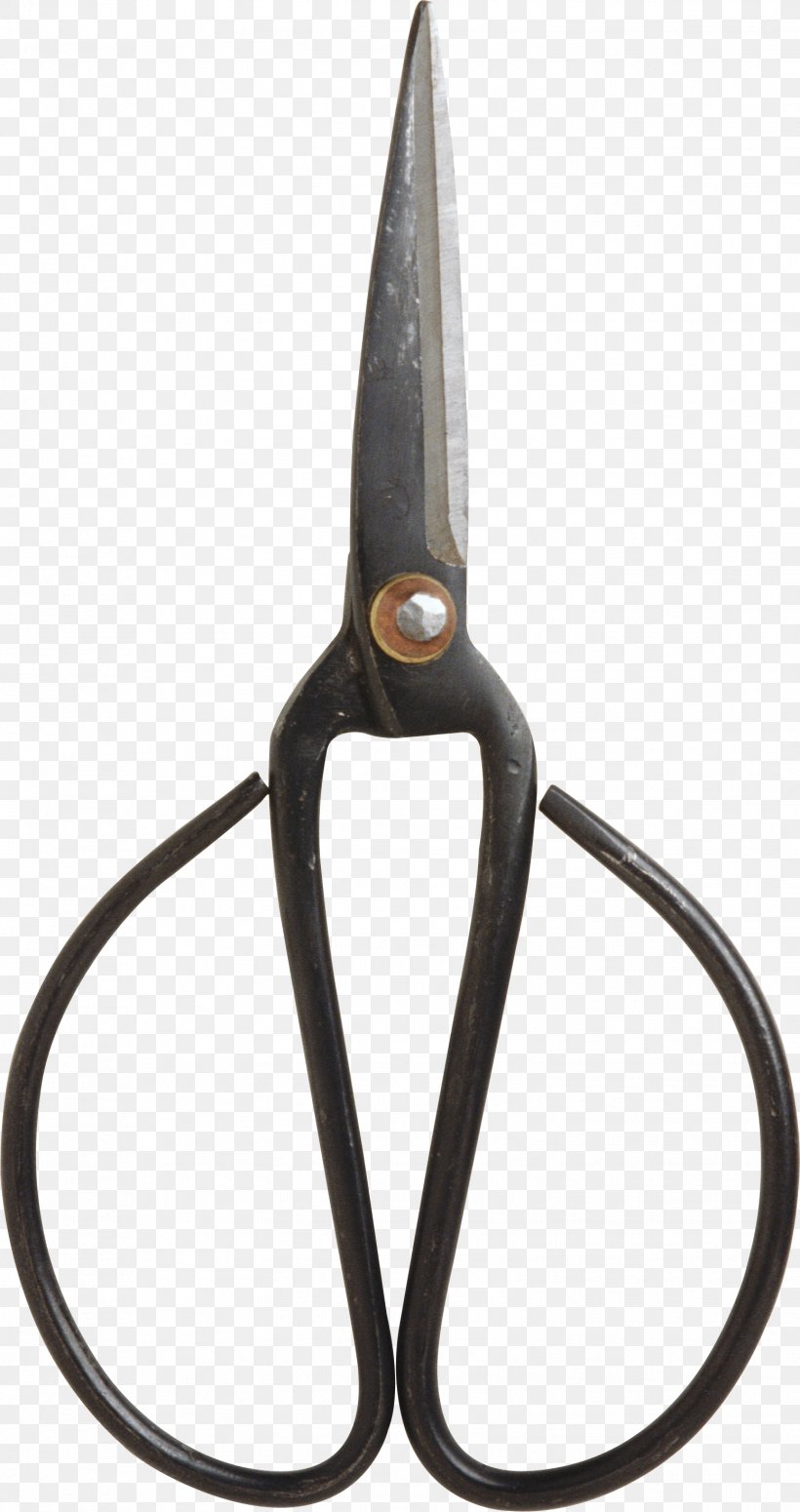 Scissors DepositFiles Picture Frames Clip Art, PNG, 1553x2936px, Scissors, Basket, Bird, Daffodil, Depositfiles Download Free