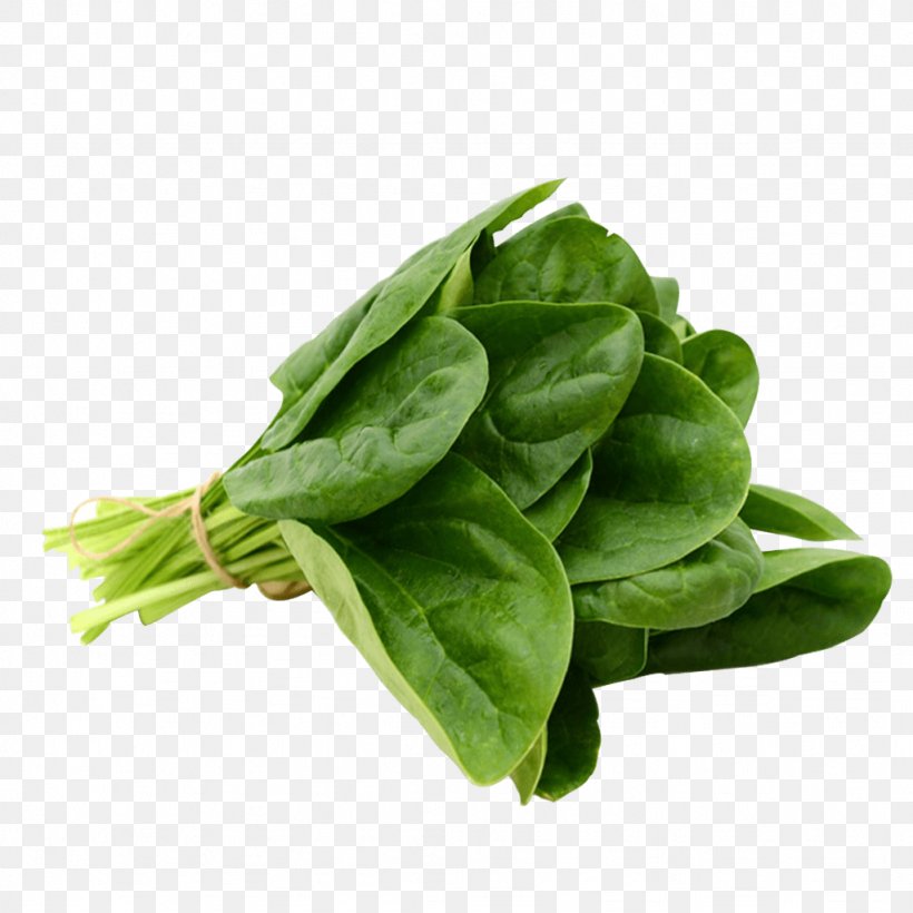 Spinach Dip Spinach Salad Greens Vegetable, PNG, 1024x1024px, Spinach Dip, Amaranthus Dubius, Basil, Chard, Choy Sum Download Free