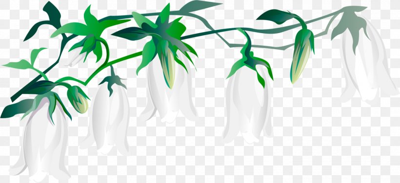 Clip Art Vector Graphics Image Design, PNG, 1411x647px, Designer, Botany, Branch, Flower, Green Download Free