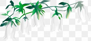 Adorn Design Element - Clip Art Vector Graphics Image Design PNG