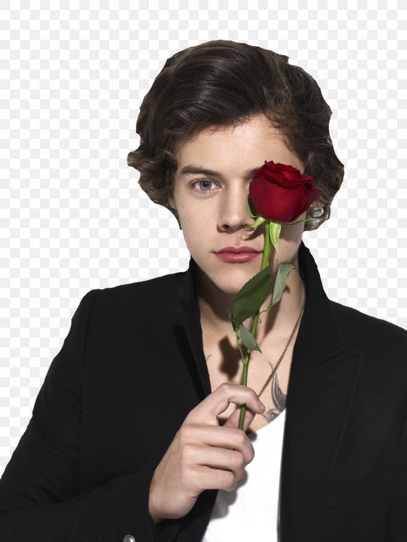 Harry Styles One Direction Beauty And The Beast YouTube, PNG, 1024x1364px, Watercolor, Cartoon, Flower, Frame, Heart Download Free