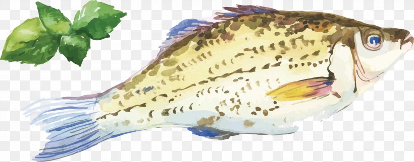 Oyster Fish Watercolor Painting Seafood, PNG, 2882x1133px, Oyster, Basil, Bony Fish, Drawing, Fauna Download Free