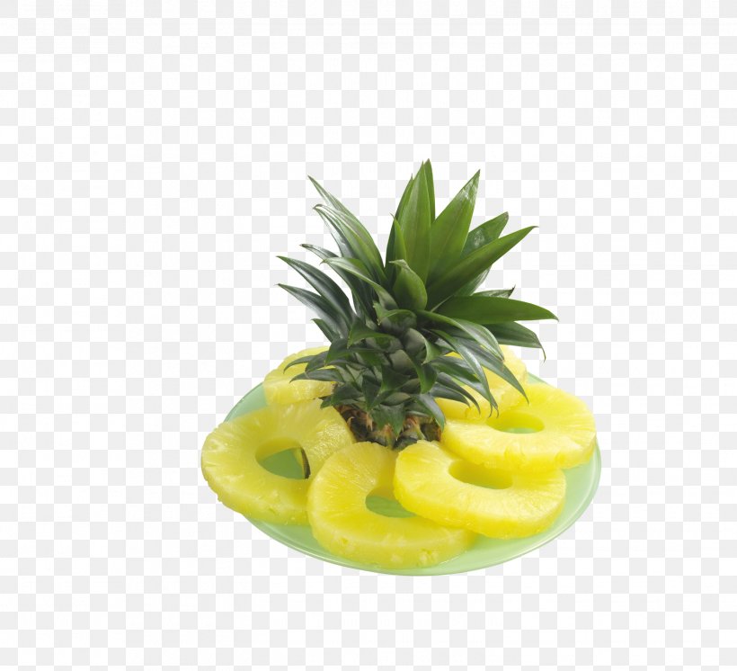 Pineapple Fruit Clip Art, PNG, 1525x1388px, Pineapple, Ananas, Bromelain, Bromeliaceae, Flowerpot Download Free