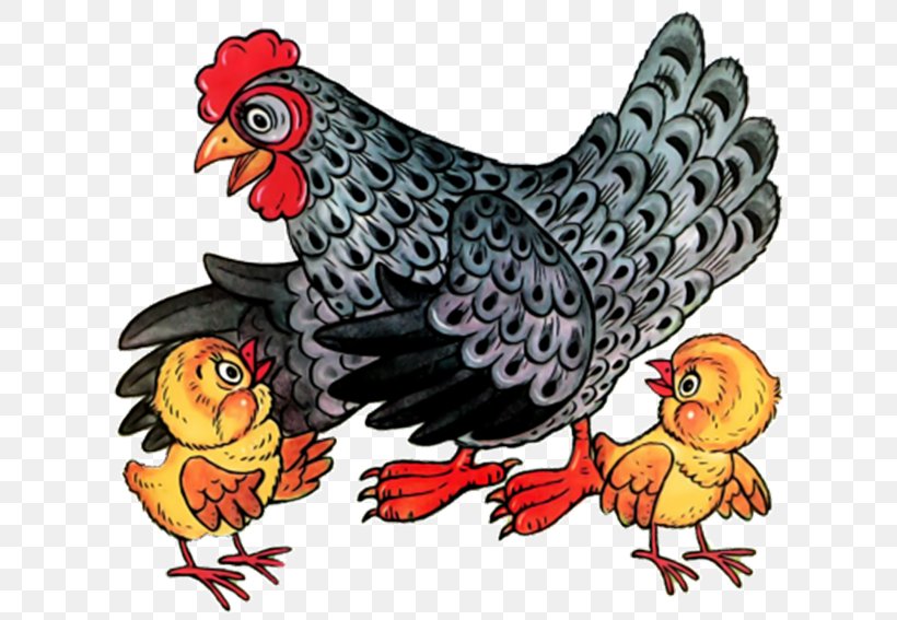 Rooster Chicken Hen And Chicks Clip Art, PNG, 687x567px, Rooster, Beak, Bird, Cartoon, Chicken Download Free
