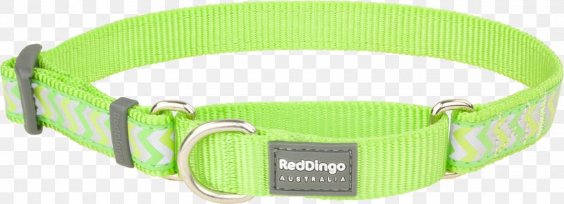 Belt Buckles Dog Collar Dingo, PNG, 3000x1088px, Belt Buckles, Belt Buckle, Buckle, Collar, Dingo Download Free