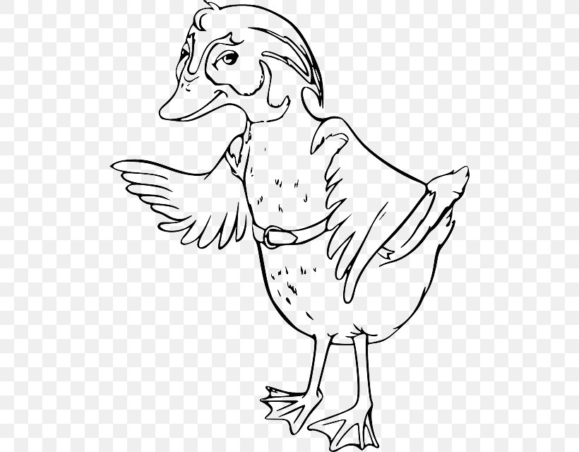 Duck Bird Rooster Cygnini Beak, PNG, 510x640px, Duck, Anatidae, Animal, Art, Artwork Download Free