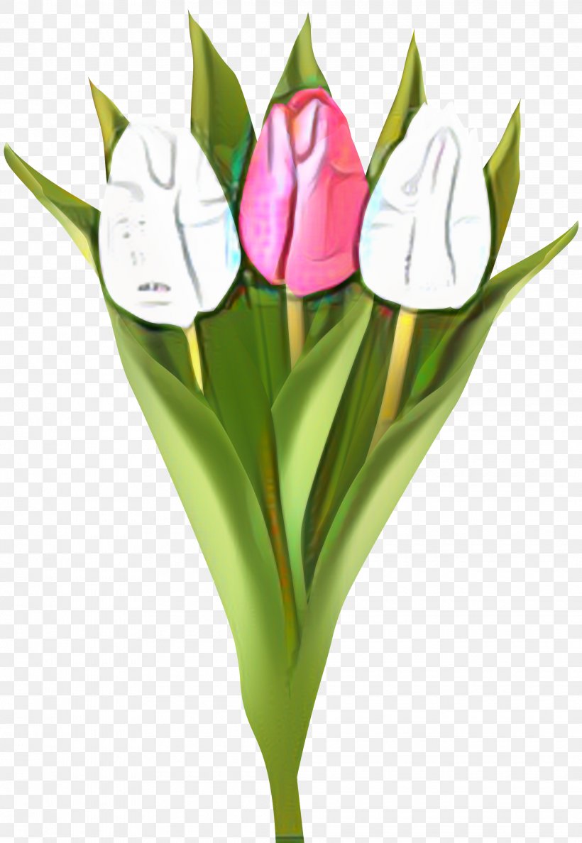 Indira Gandhi Memorial Tulip Garden Clip Art Cut Flowers, PNG, 2070x3000px, Tulip, Botany, Bud, Cut Flowers, Daffodil Download Free