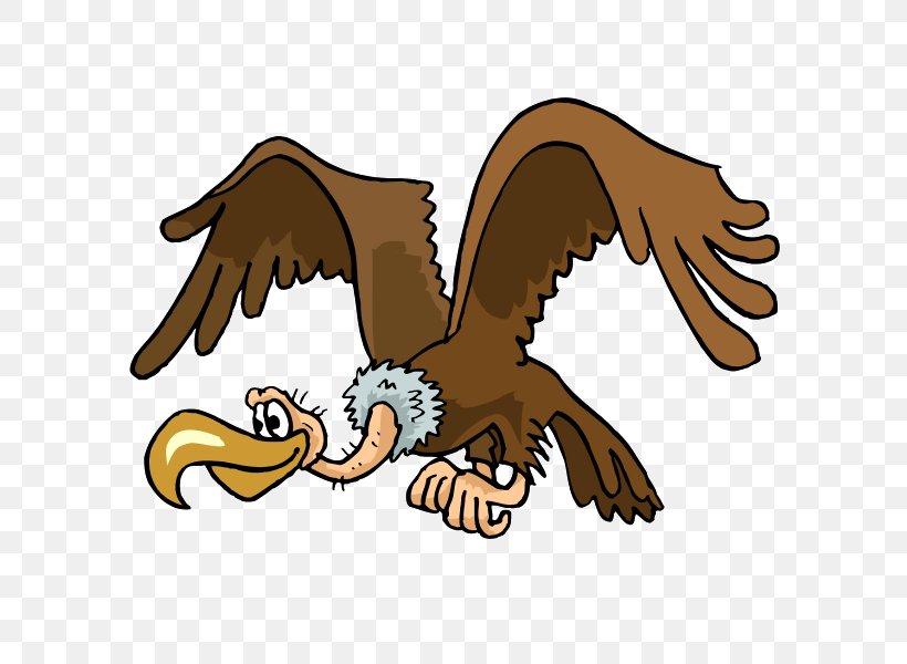 Turkey Vulture Beaky Buzzard Clip Art, PNG, 600x600px, Turkey Vulture, Accipitriformes, Bald Eagle, Beak, Beaky Buzzard Download Free