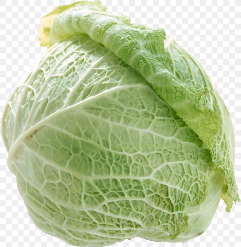 Cauliflower Savoy Cabbage Marrow-stem Kale Spring Greens Romaine Lettuce, PNG, 1515x1550px, Cabbage, Brassica Oleracea, Broccoli, Cauliflower, Chinese Cabbage Download Free