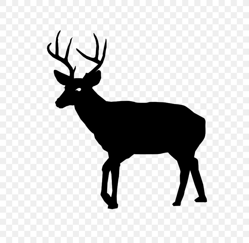 White-tailed Deer Deer Hunting Clip Art, PNG, 566x800px, Deer, Antler, Black And White, Deer Hunting, Drawing Download Free