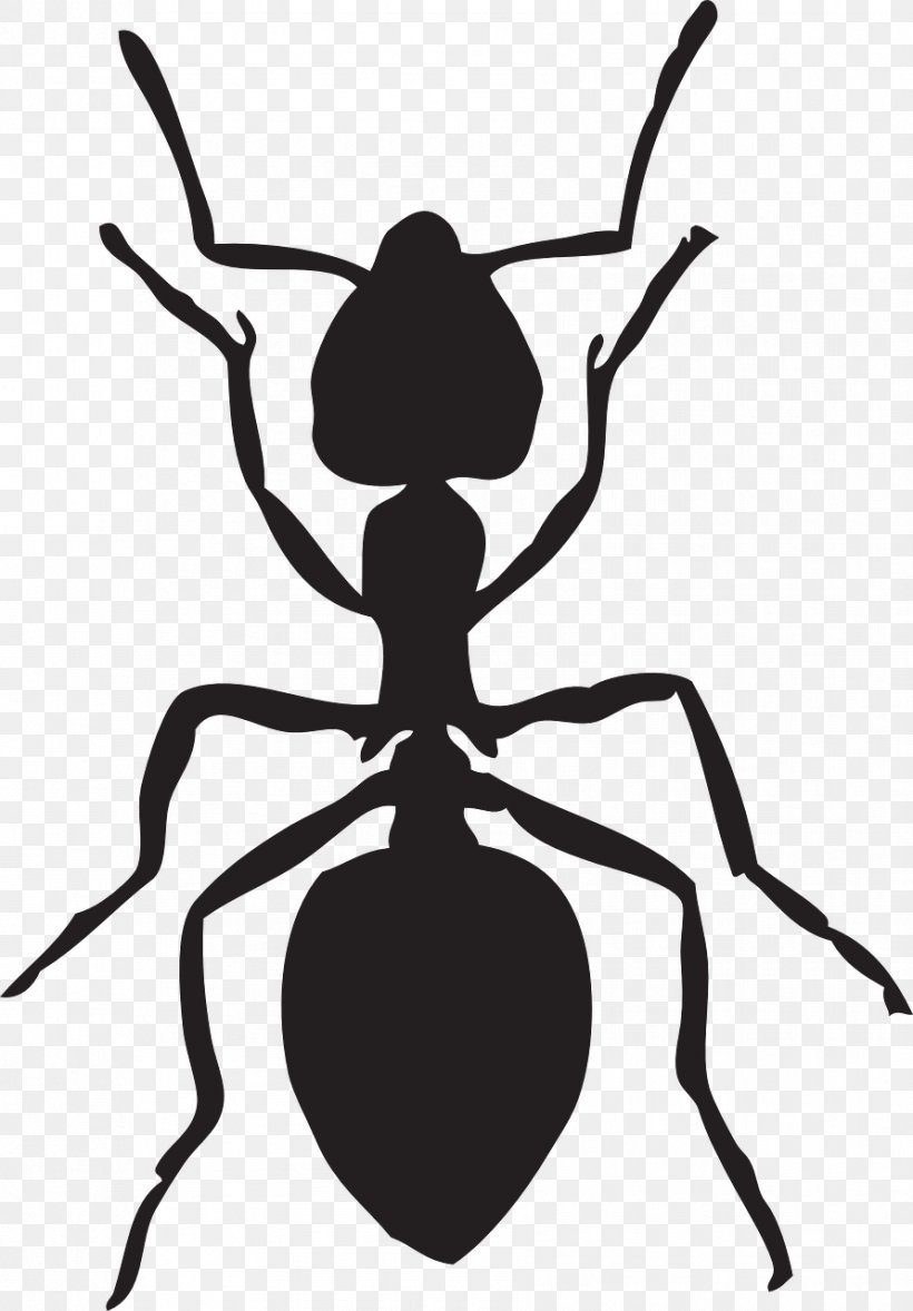 Ant Download Clip Art, PNG, 891x1280px, Ant, Army Ant, Arthropod, Artwork, Black And White Download Free