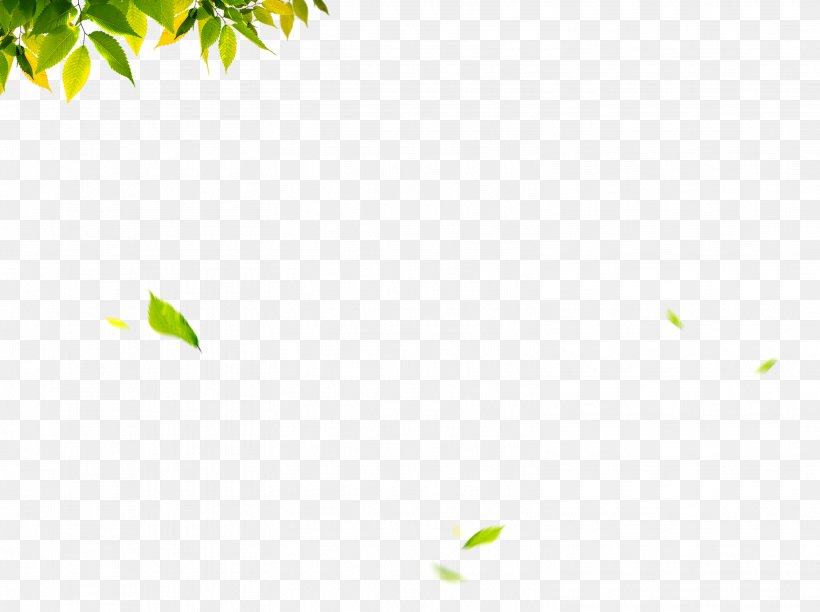 Leaf Green, PNG, 3107x2319px, Leaf, Autumn, Grass, Green, Maple Leaf Download Free