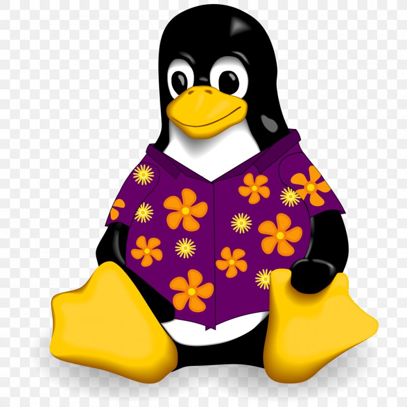 Linux Operating Systems Computer Software Computer Program Installation, PNG, 1000x1000px, Linux, Beak, Bird, Computer Program, Computer Servers Download Free