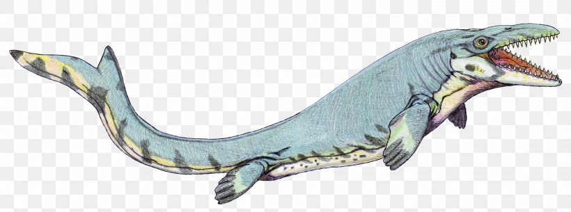Mosasaurus Dinosaur Reptile Pteranodon Lythronax, PNG, 2736x1020px, Mosasaurus, Animal Figure, Dinosaur, Dinosaur Revolution, Fauna Download Free