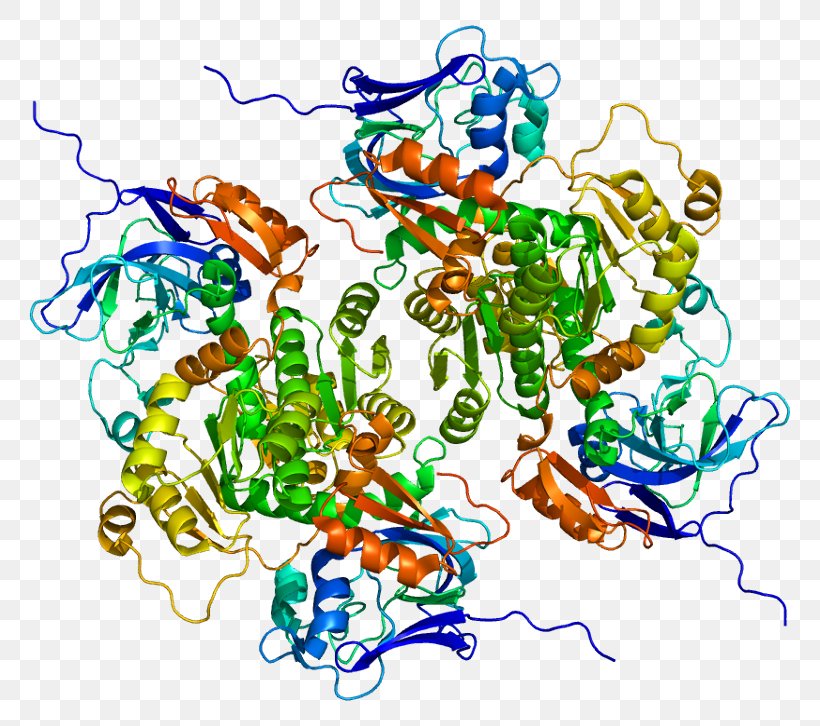 Wikipedia Sorbitol Dehydrogenase Free Content Sord M5, PNG, 811x726px, Wikipedia, Area, Art, Artwork, Creative Commons Download Free