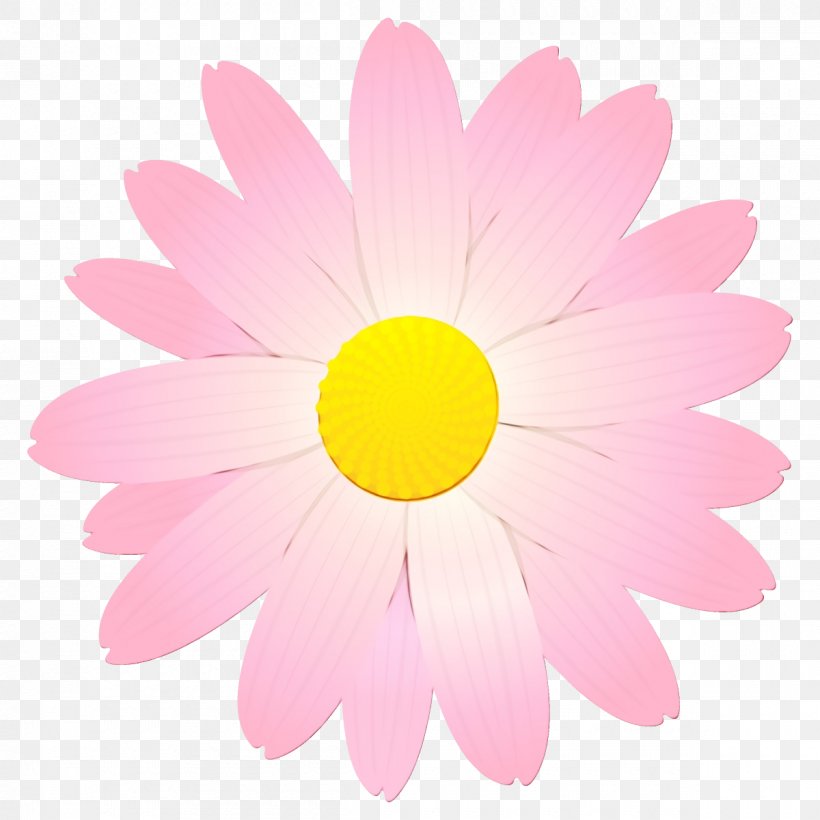 Daisy, PNG, 1200x1200px, Watercolor, Chamomile, Daisy, Flower, Gerbera Download Free