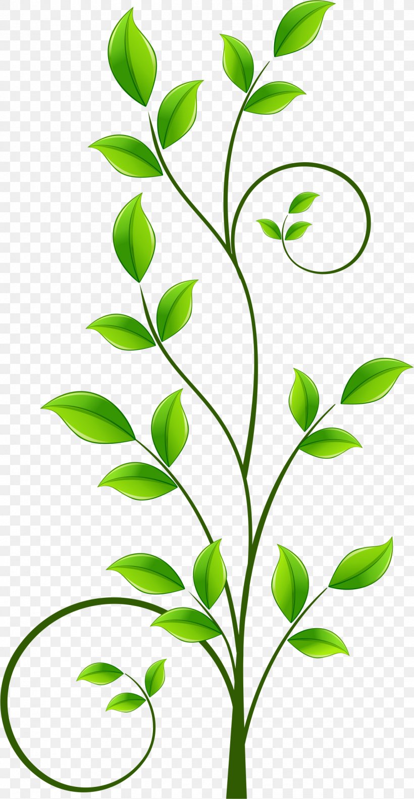 Download Illustration, PNG, 1264x2438px, Photography, Branch, Flora, Flower, Grass Download Free