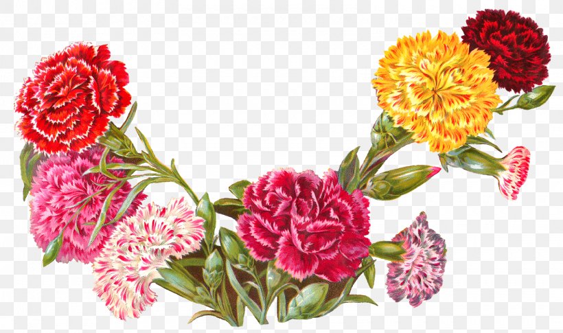 Flower Carnation Floral Design Clip Art, PNG, 1600x947px, Flower, Carnation, Color, Cut Flowers, Floral Design Download Free