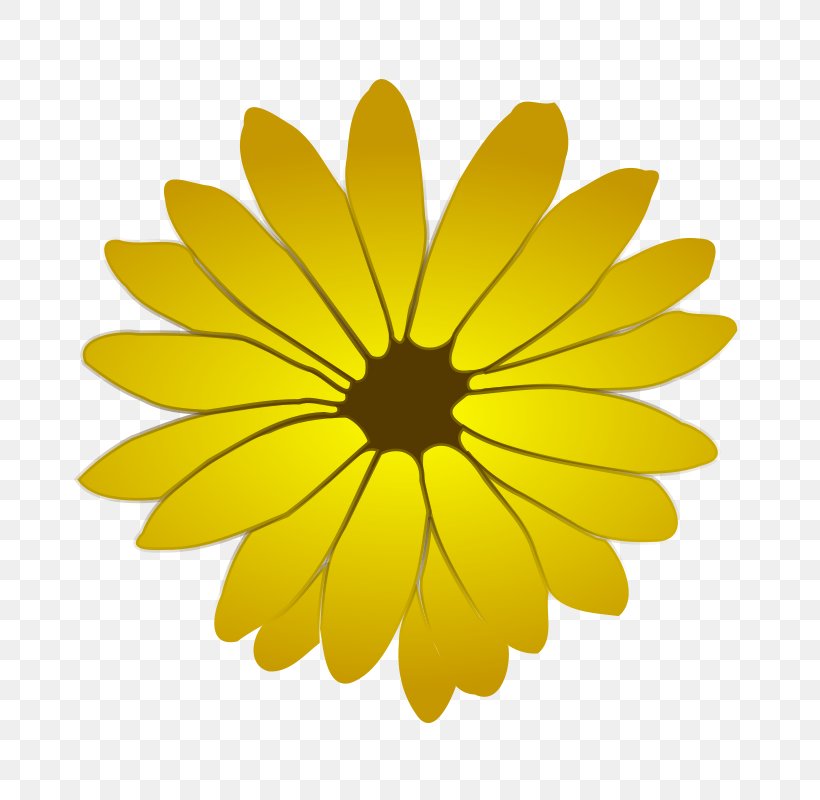 Flower Drawing Clip Art, PNG, 800x800px, Flower, Calendula, Carnation, Chrysanths, Common Daisy Download Free